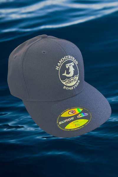 Gear | Hats